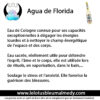 Agua de Florida – Image 2
