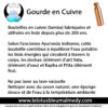 Gourde en cuivre – Image 2