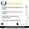 Calcite jaune (Pierre roulée) – Image 2