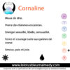 Cornaline (Pierre roulée) – Image 2