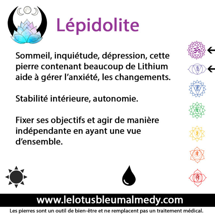 Lépidolite (Pierre roulée) – Image 2