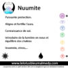 Nuumite (Pierre roulée) – Image 2