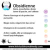 Obsidienne Larme d'Apache (Pierre roulée) – Image 2