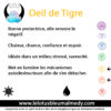 Oeil de Tigre (Pierre roulée) – Image 2