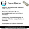 Sauge Blanche + Rose – Image 2