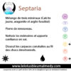 Septaria – Image 2