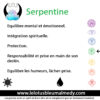 Serpentine (Pierre roulée) – Image 2