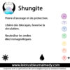Plaquette Shungite auto-collante – Image 2