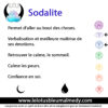 Sodalite (Pierre roulée) – Image 2