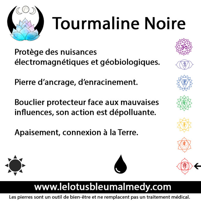 Tourmaline noire (Pierre roulée) – Image 2