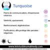 Turquoise (Pierre roulée) – Image 2